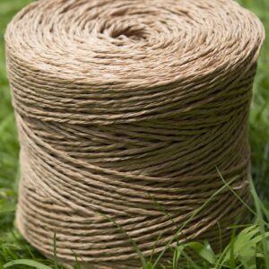Pelote de Raphia Rond beigne bien en avant
