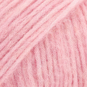Rose n°24