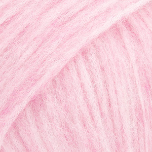 Rose Clair n°08